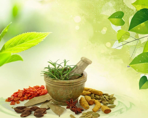 Ayurvedic Treatment